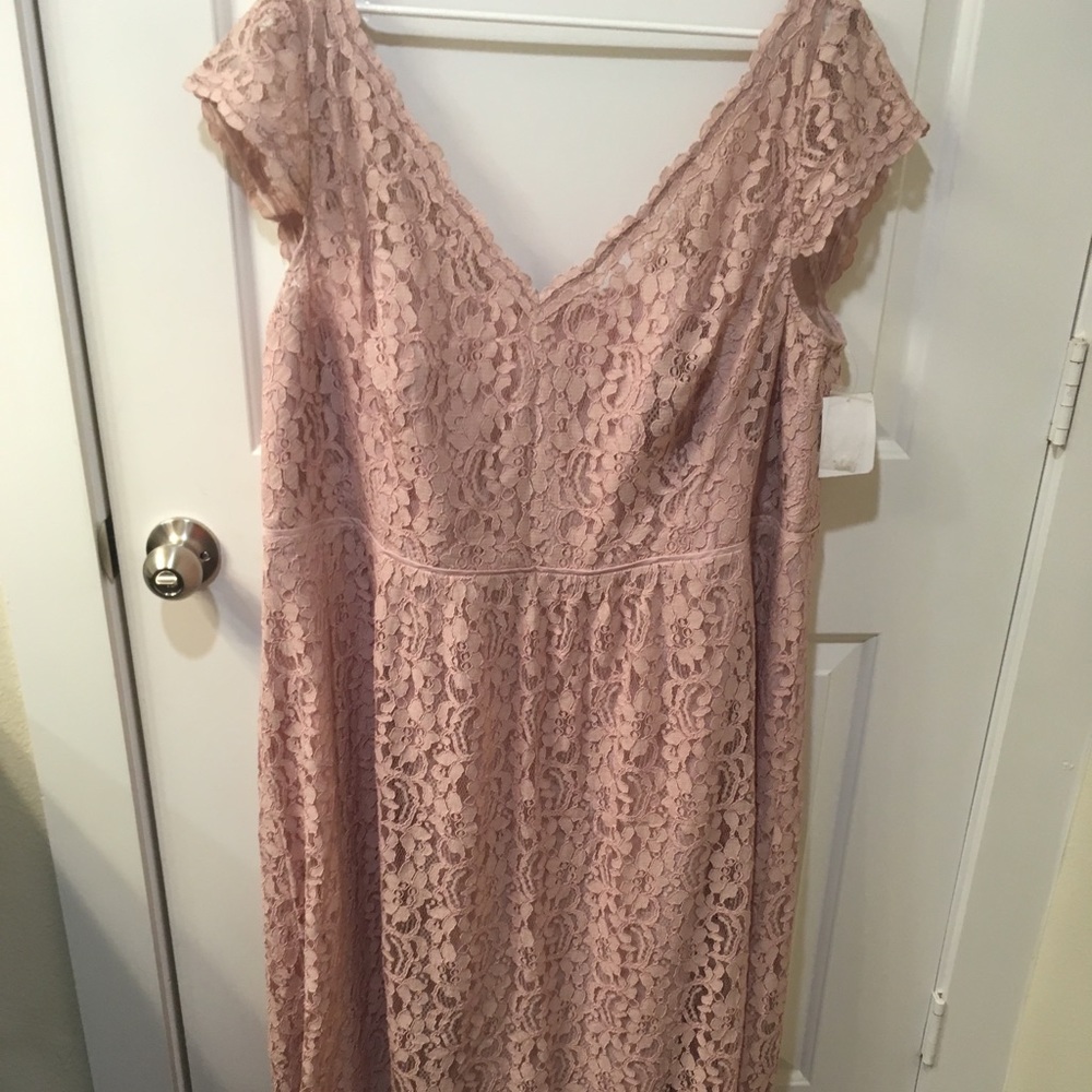 NWT David’s Bridal mauve lace gown 26, Cameo color
